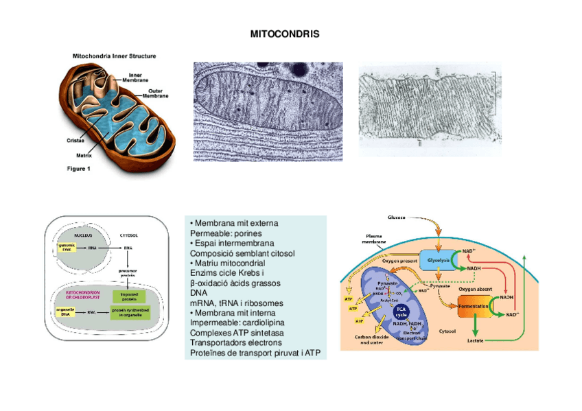 Miniatura del documento 7.pdf