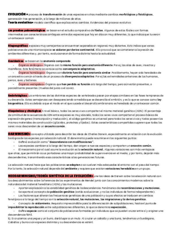 Miniatura del documento EVOLUCION.pdf