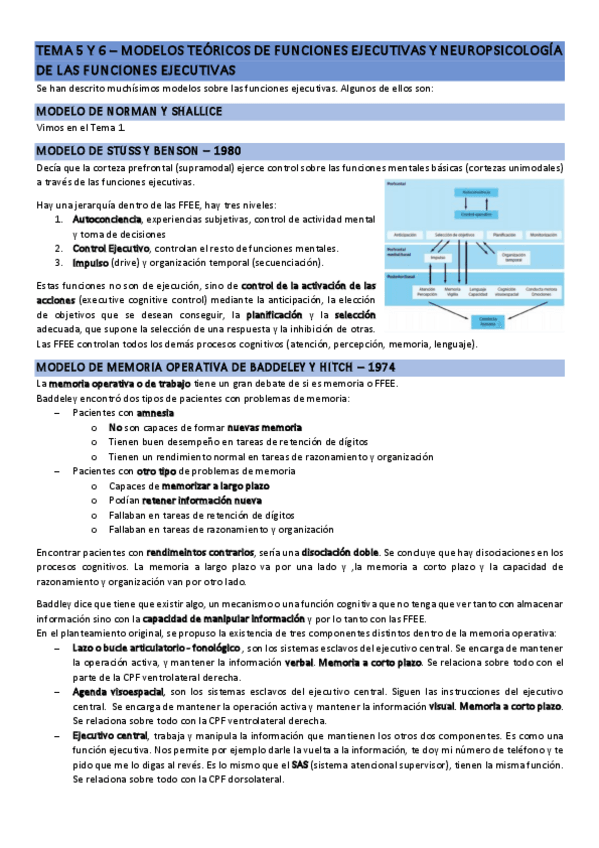 Miniatura del documento Tema-5-y-6-Modelos-teoricos-de-funciones-ejecutivas-y-Neiropsicologia-de-las-funciones-ejecuti.pdf