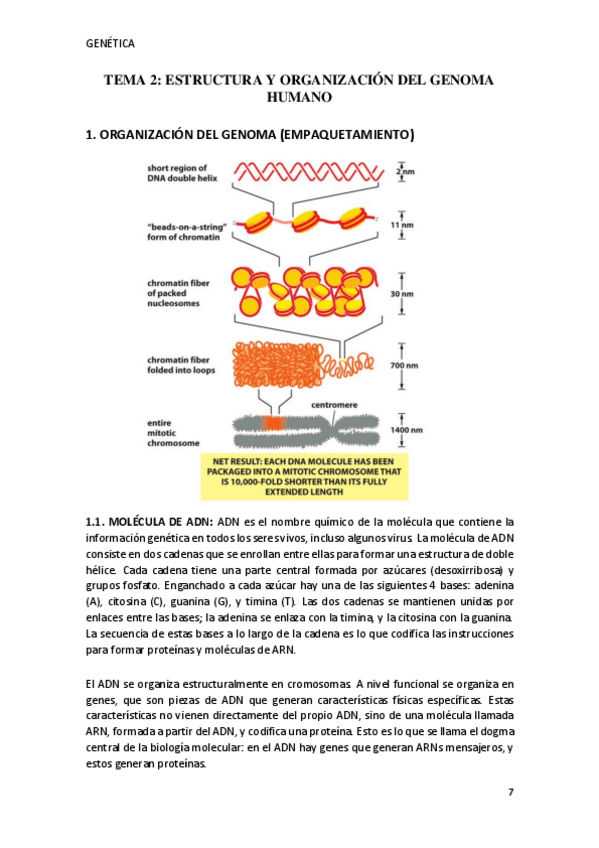 Miniatura del documento TEMA-2.pdf