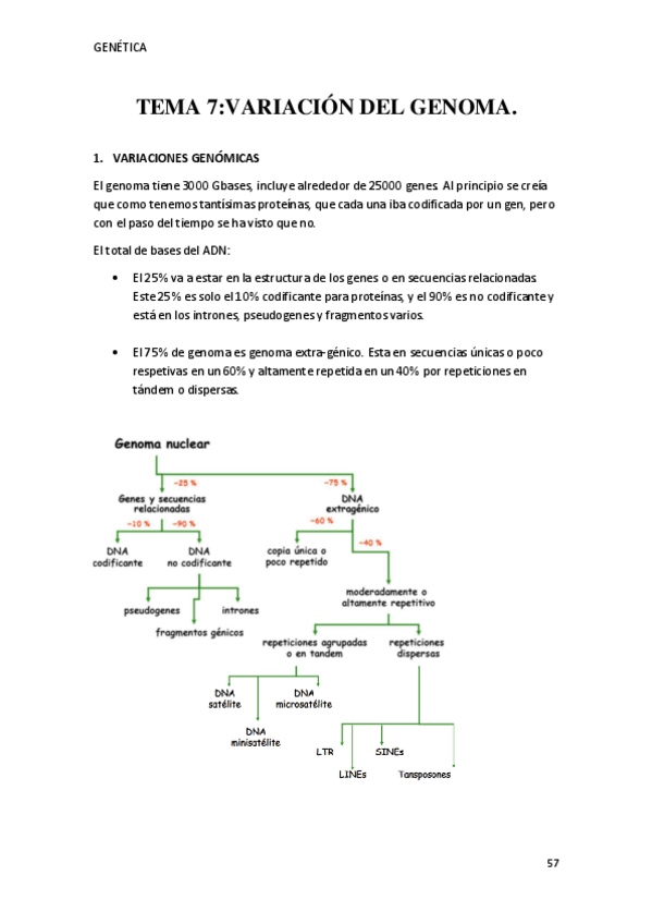 Miniatura del documento TEMA-7.pdf