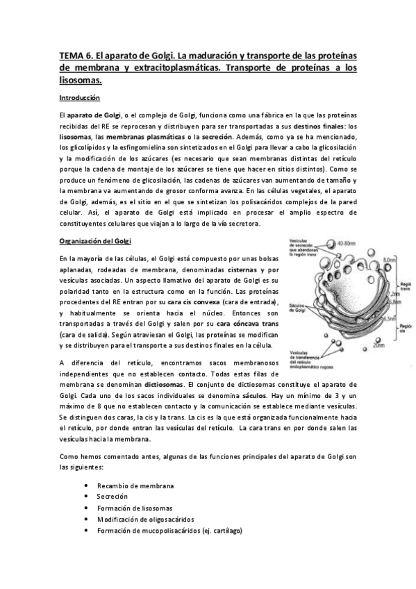 Miniatura del documento Tema-61.pdf