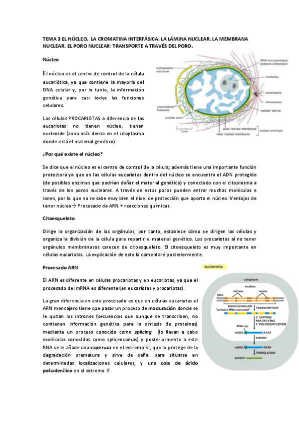 Miniatura del documento TEMA-3.pdf