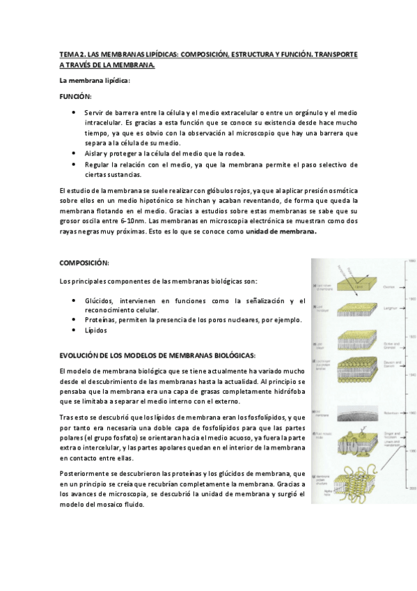 Miniatura del documento TEMA-2.pdf
