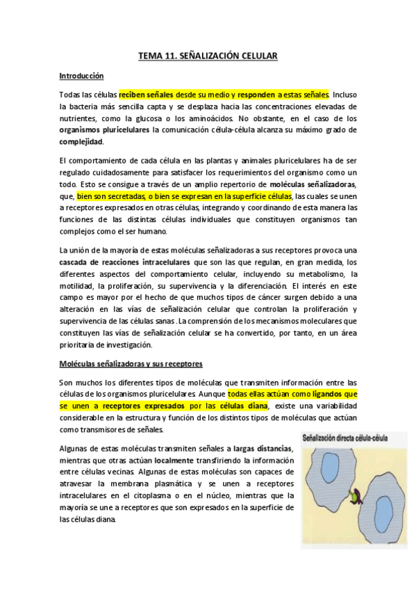 Miniatura del documento TEMA-11.pdf