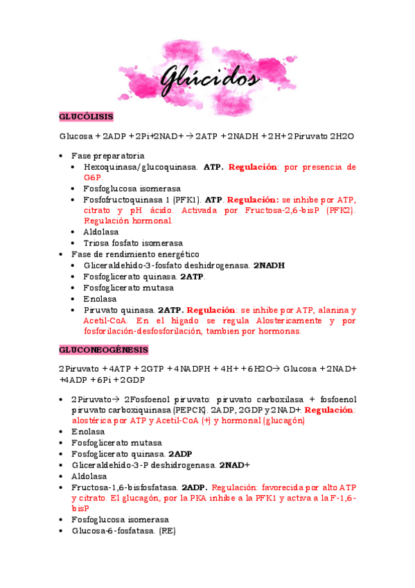 Miniatura del documento esquema-enzimas-de-glucidos.pdf