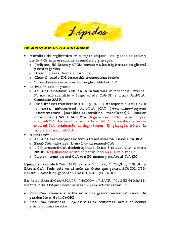 Miniatura del documento esquema-lipidos.pdf