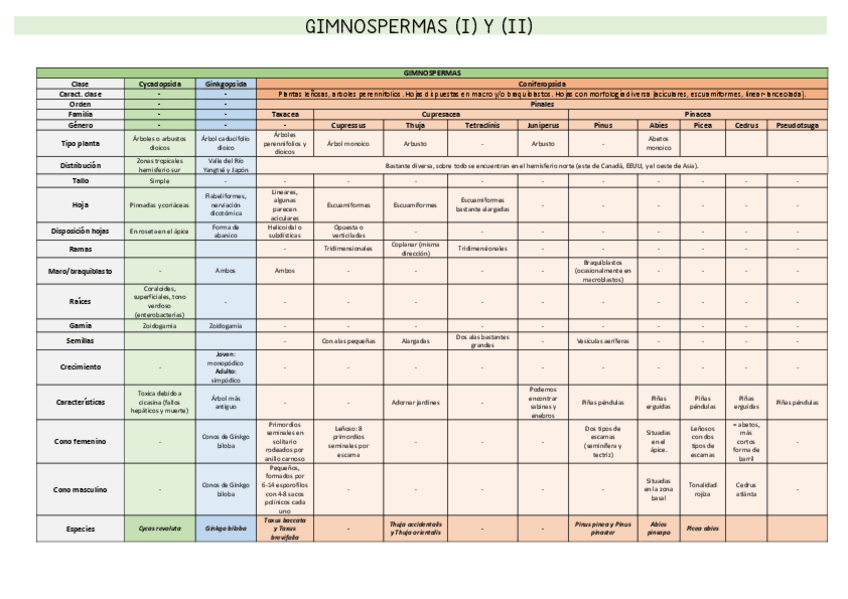 Miniatura del documento GIMNOSPERMAS.pdf