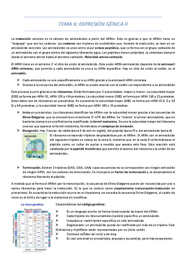 Miniatura del documento TEMA-6.pdf