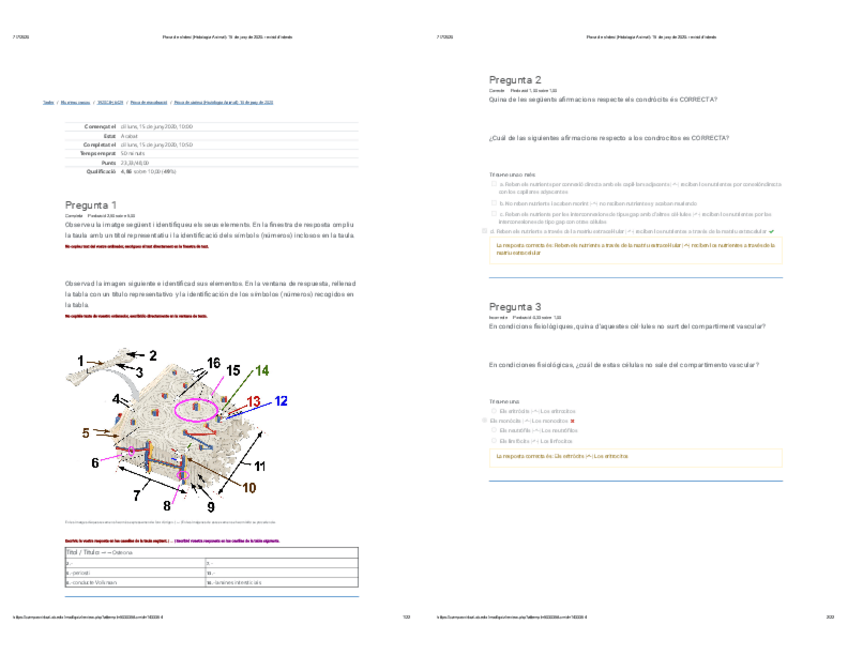 Miniatura del documento Prova-de-sintesi-Histologia-Animal-15-de-juny-de-2020-revisio-dintents.pdf