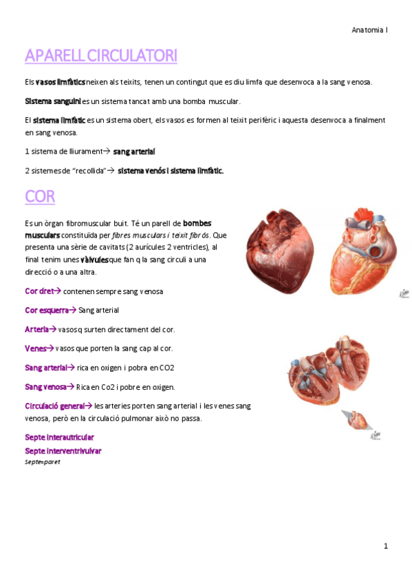 Miniatura del documento APARELL-CIRCULATORI.pdf