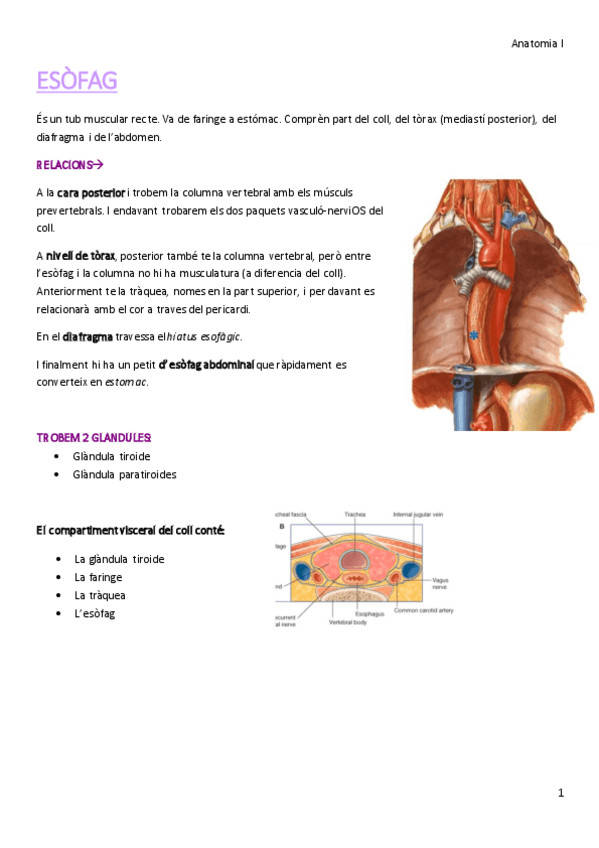 Miniatura del documento 2.pdf