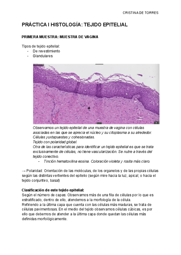 Miniatura del documento PRACTICAS-HISTOLOGIA-COMPLETO.pdf