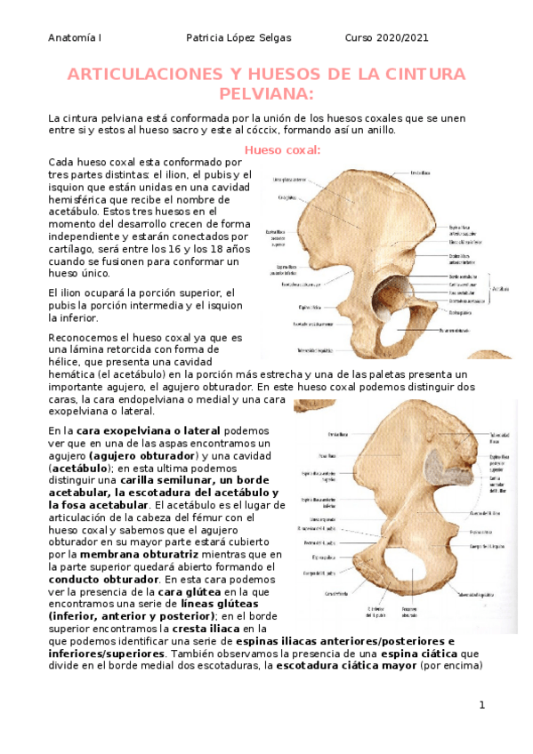 Miniatura del documento Art.docx
