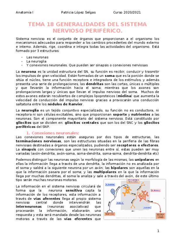 Miniatura del documento Tema-18-generalidades-del-nervioso.docx