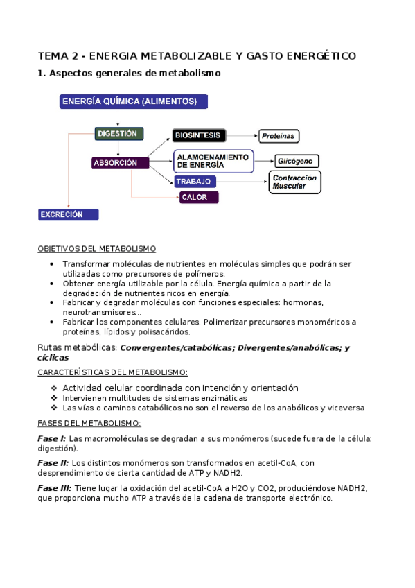 Miniatura del documento TEMA-2-RESUMEN.docx