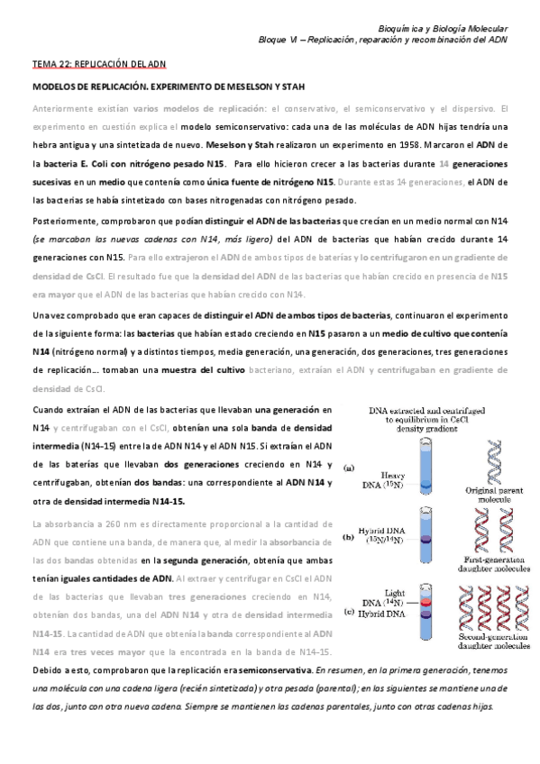 Miniatura del documento Tema-22.pdf