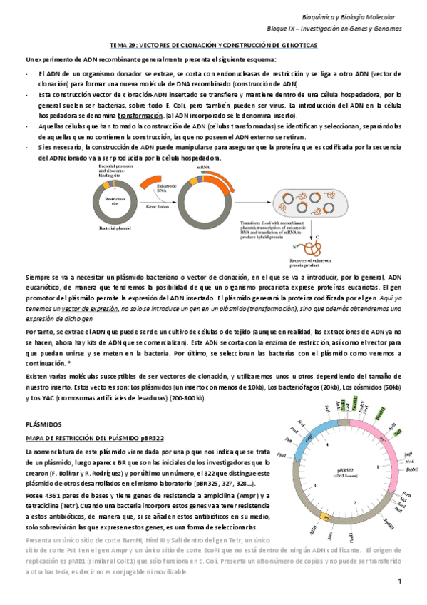 Miniatura del documento Tema-29.pdf