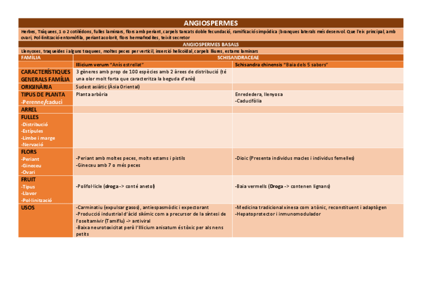 Miniatura del documento ANGIOSPERMES.pdf