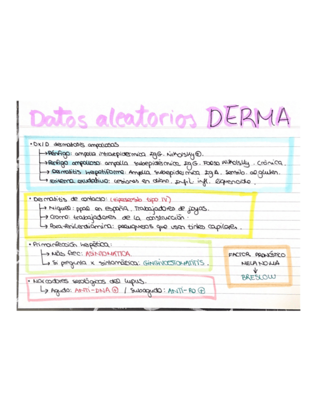 Miniatura del documento DERMA-ESQUEMA.pdf