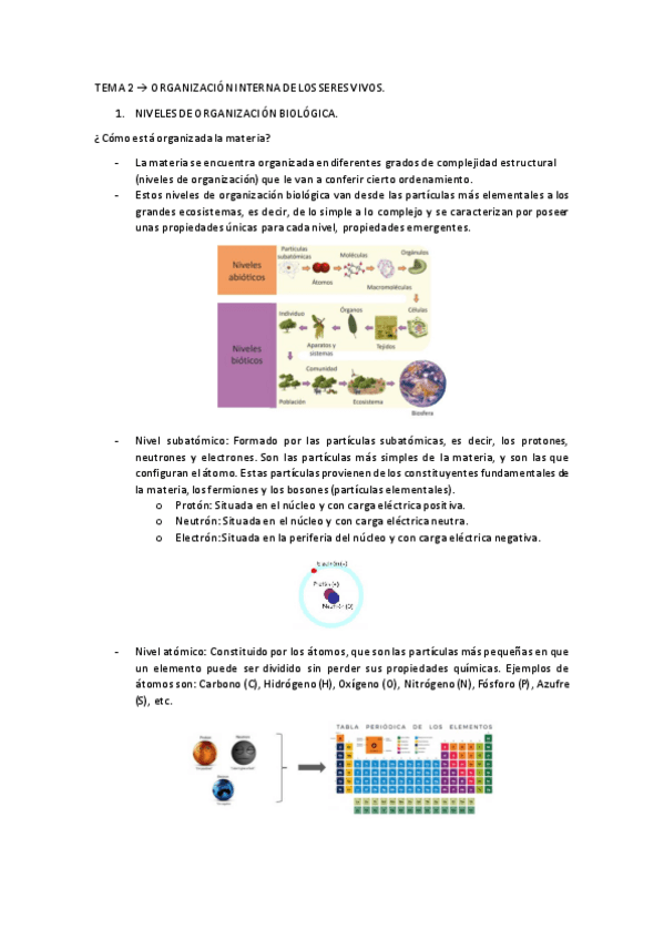 Miniatura del documento TEMA-2.pdf