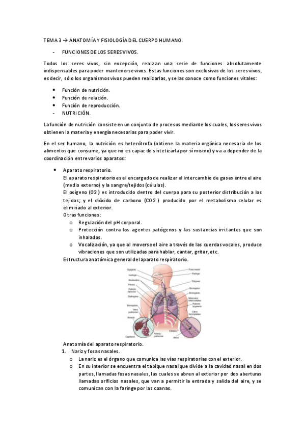 Miniatura del documento TEMA-3-B.pdf