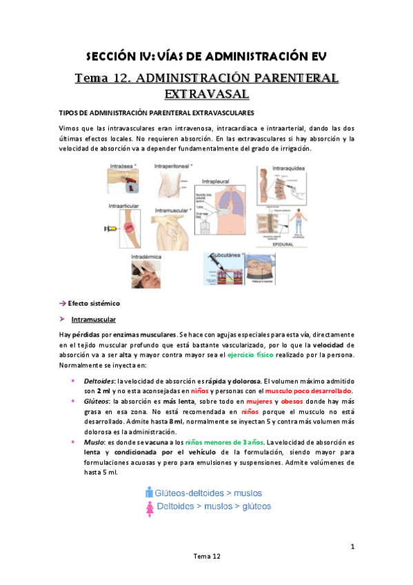 Miniatura del documento Tema 12. ADMINISTRACIÓN PARENTERAL EXTRAVASAL.pdf