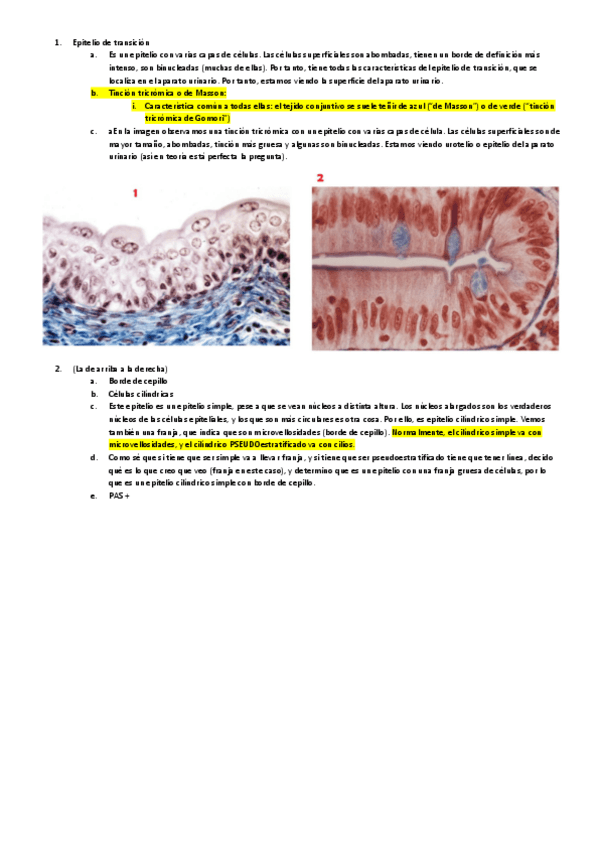 Miniatura del documento Primer seminario.pdf