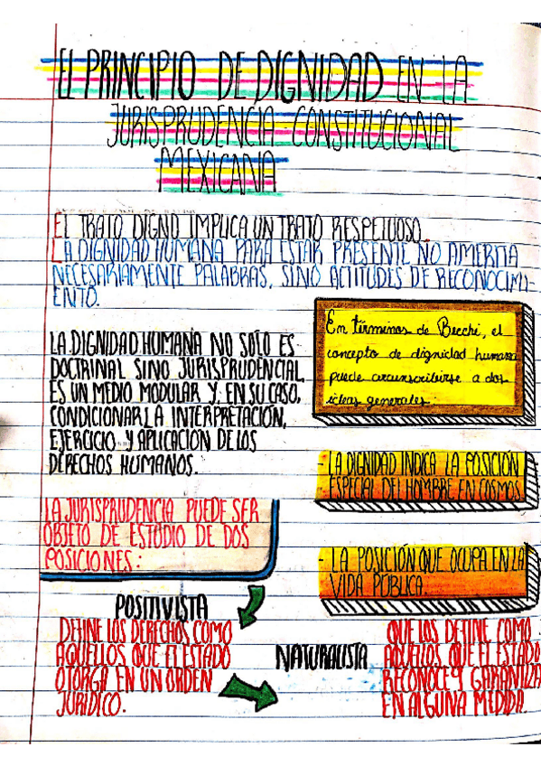 Miniatura del documento el-principio-de-dignidad-en-la-jurisprudencia-constitucional-mexicana.pdf