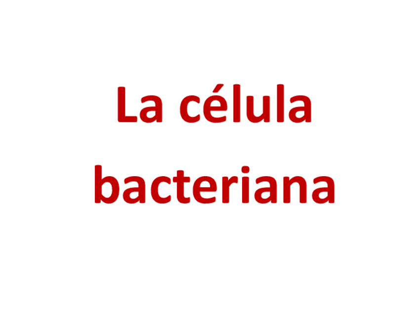Miniatura del documento Tinciones-microbianas.pdf