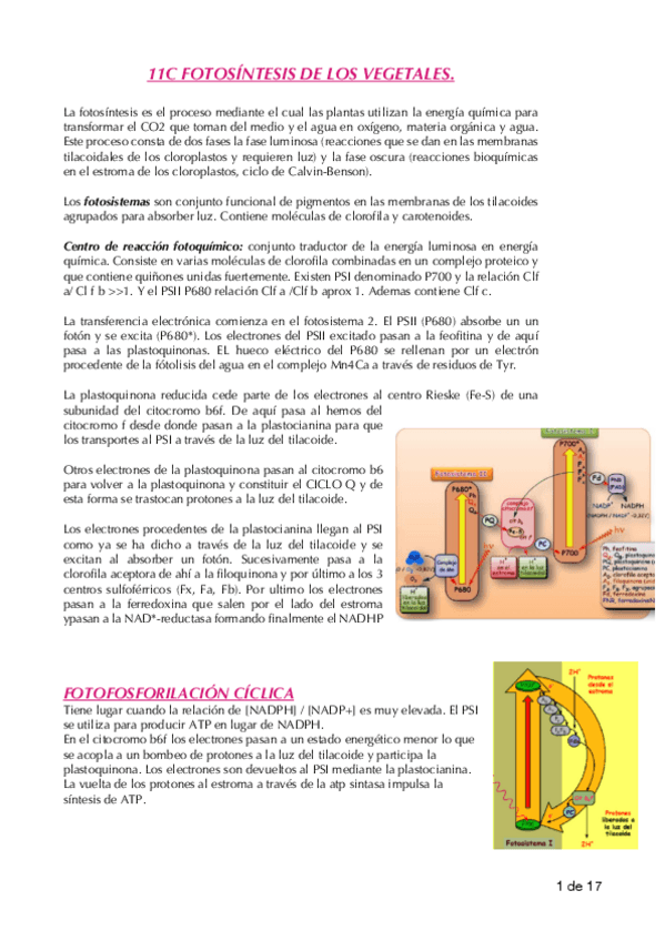 Miniatura del documento Temas-a-pc.pdf