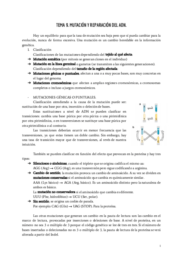 Miniatura del documento ULTIMO-TEMA-GEMO-9.pdf