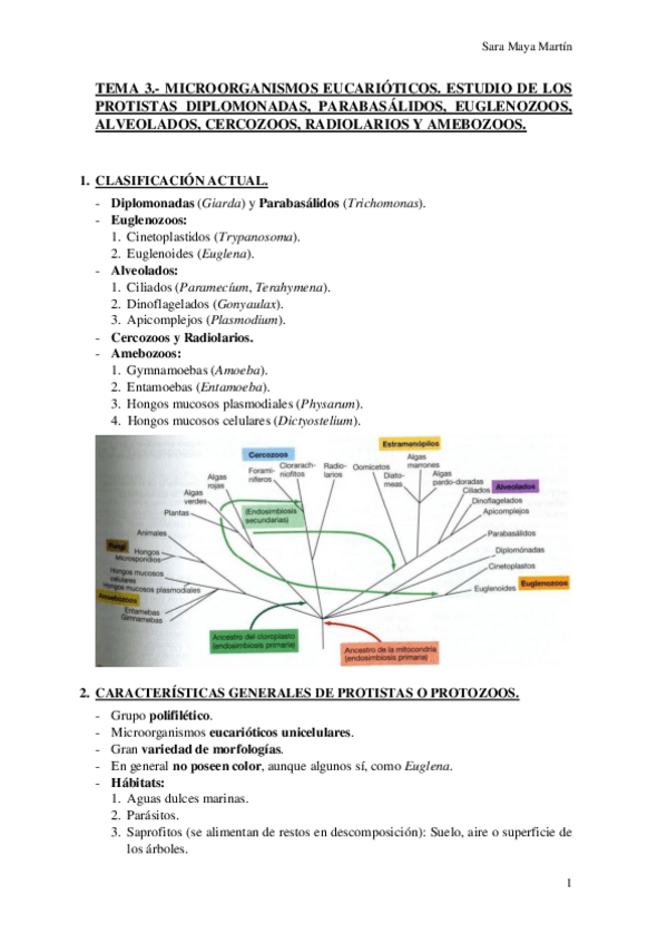 Miniatura del documento TEMA 3.pdf