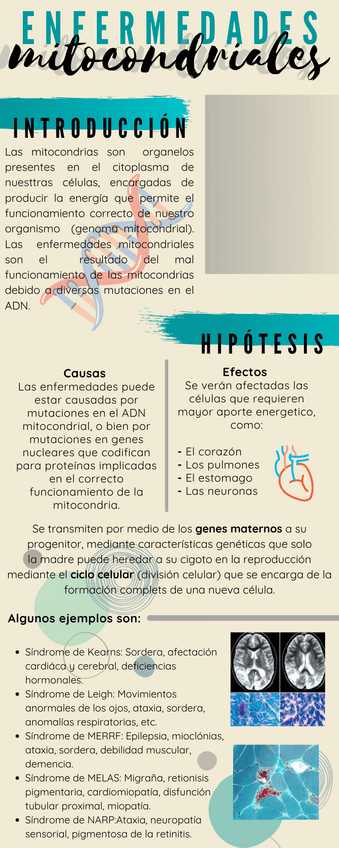 Miniatura del documento 1202106141958130000.png