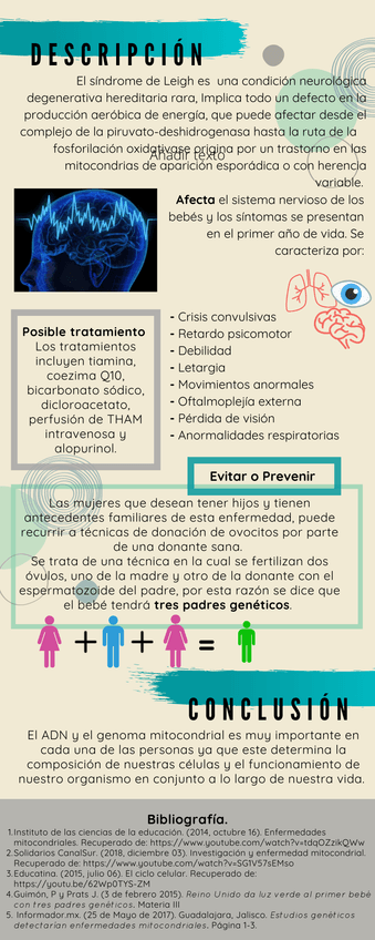 Miniatura del documento 2202106141958130001.png