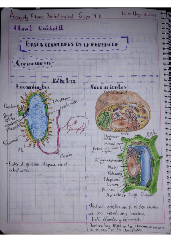 Miniatura del documento Clase-1-unidad-2-Flores-Xicohtencatl-Anayely.pdf