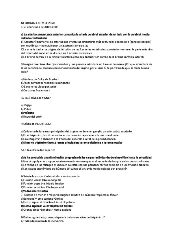 Miniatura del documento NEUROANATOMIA-2020.pdf