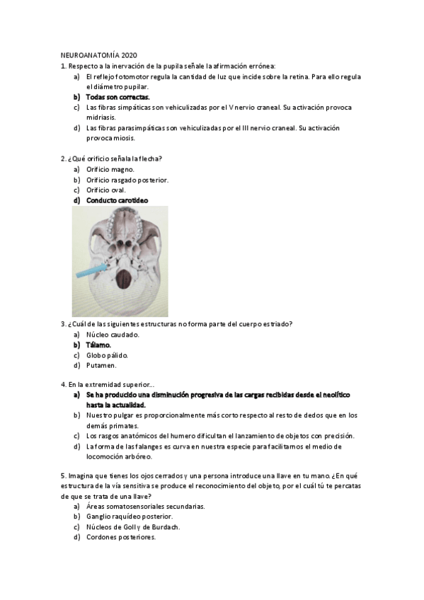 Miniatura del documento NEUROANATOMAA-2020.pdf
