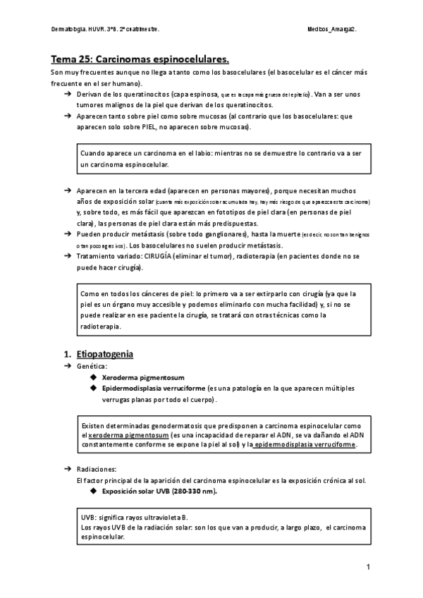 Miniatura del documento Tema-25-Carcinomas-espinocelulares-6.pdf