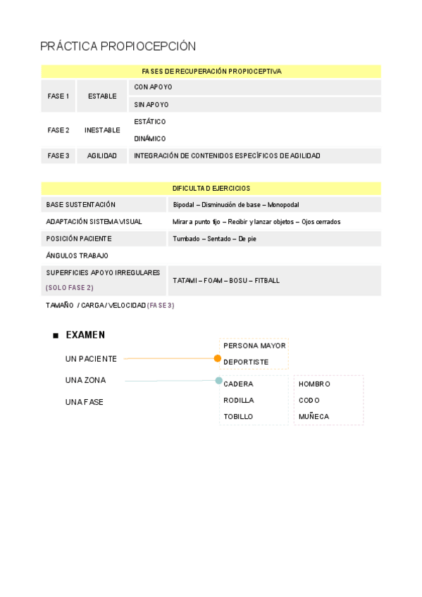 Miniatura del documento PROPIOCEPCION.pdf