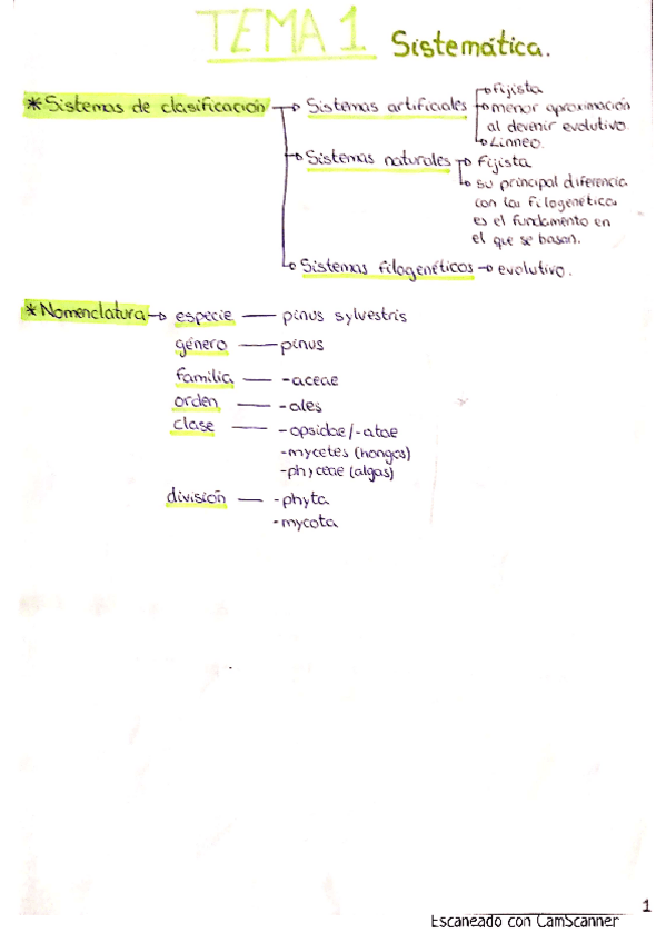 Miniatura del documento APUNTES-PARA-ESTUDIAR.pdf