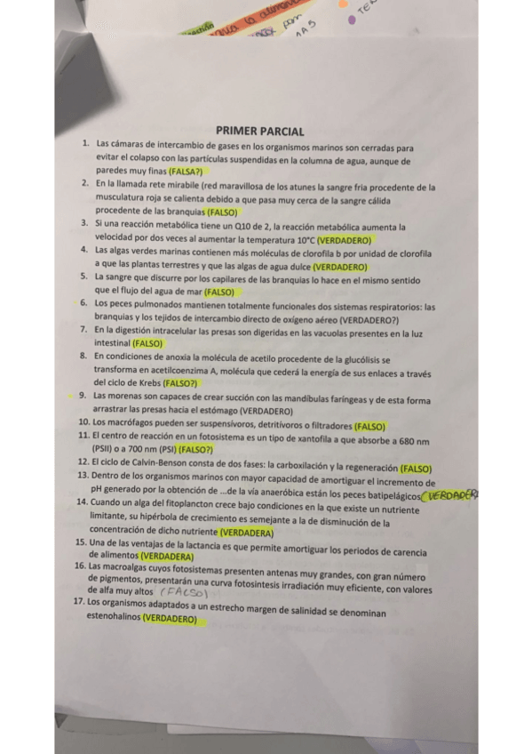 Miniatura del documento P1BM-2021-.pdf