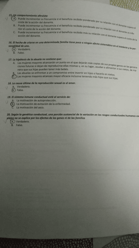 Miniatura del documento WhatsApp-Image-2021-01-10-at-13.jpg