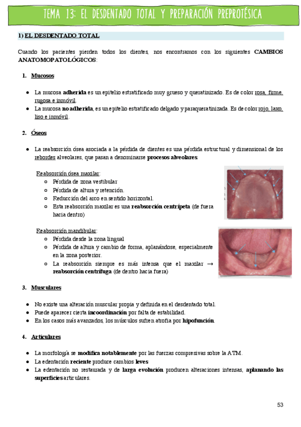 Miniatura del documento TEMA-13.pdf