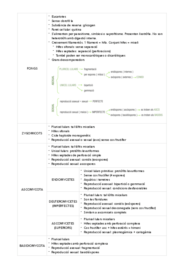 Miniatura del documento Fongs.pdf