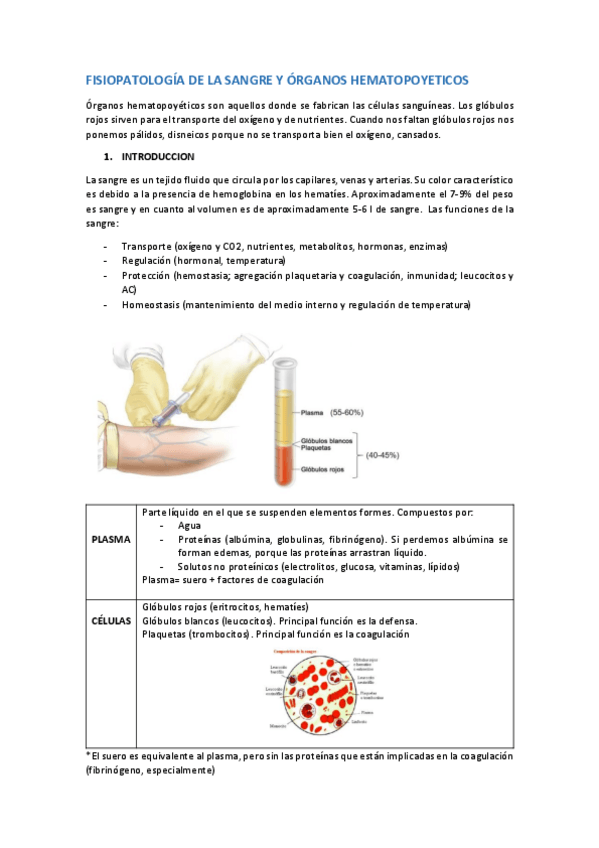 Miniatura del documento FISIOPATOLOGIA-DE-LA-SANGRE-Y-ORGANOS-HEMATOPOYETICOS.pdf