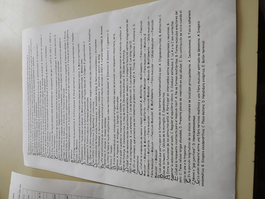 Miniatura del documento IMG20210614101911.jpg