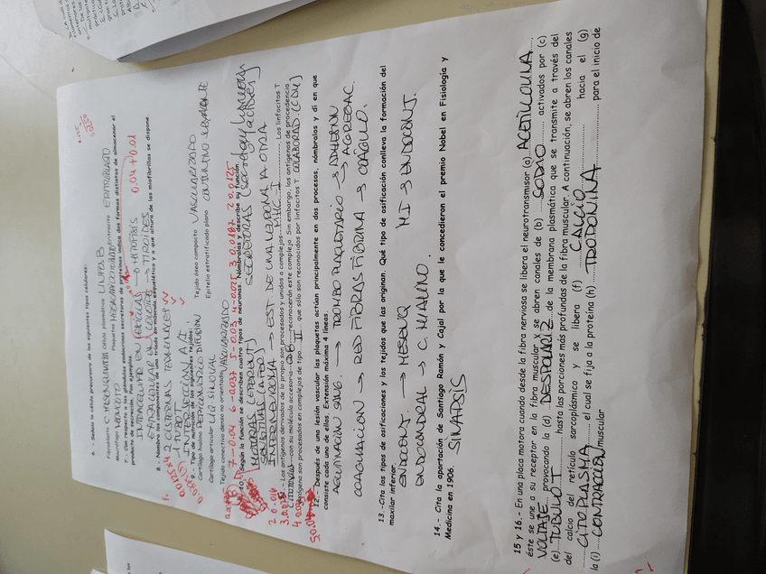 Miniatura del documento IMG20210614102400.jpg