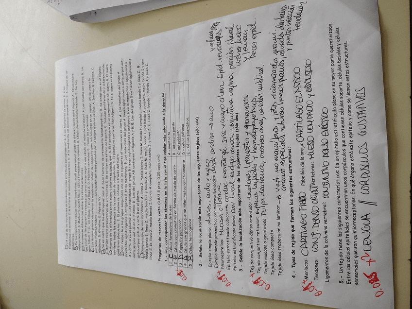 Miniatura del documento IMG20210614101939.jpg