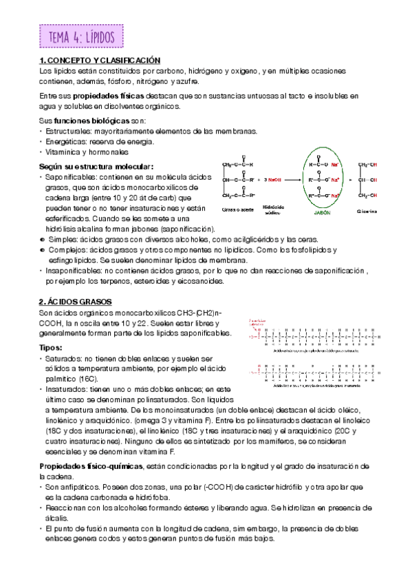 Miniatura del documento Lipidos-.pdf